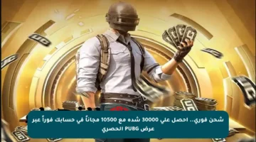 شحن فوري.. احصل على 30000 شدة مع 10500 مجاناً في حسابك فوراً عبر عرض PUBG الحصري